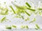 photography of CELERY falling from the sky, hyperpop colour scheme. glossy, white background Heap of celery sticks