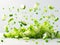 photography of CELERY falling from the sky, hyperpop colour scheme. glossy, white background Heap of celery sticks