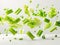 photography of CELERY falling from the sky, hyperpop colour scheme. glossy, white background Heap of celery sticks