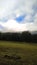 Photography , clouds, three, blue , sky, mountain