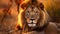 photography lighting Lion portrait on savanna safari landscape image, Generated AI