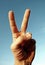 Photography of male left hand showing victory or peace symbol