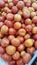 a photography of a pile of tomatoes in a bin at a market, there are many tomatoes in a bin at the market