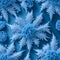 Photography of realistic frost flowers and icicles on a clear blue and silver background. AI-Generated.