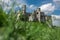 Photography of Ruins Ogrodzieniec Castle