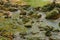 Photography of a small mountain stream, background on the wall. Wide angle