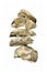 a photography of a stack of oysters on a white background, megalithic structure of oysters stacked on top of each other