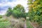 Photography on theme beautiful footpath in wild foliage woodland