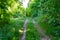 Photography on theme beautiful footpath in wild foliage woodland