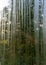 Photography with wet and sweaty window, raindrop texture, blurred tree outline in the background