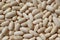 Photography of white dry common beans Phaseolus vulgaris