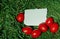 Photography white paper sheet lies on grass with red eggs