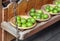 a photography of a wooden shelf with baskets of green apples, granny smith\'s green apples in baskets on a wooden shelf