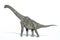 Photorealistic 3 D rendering of a Brachiosaurus.