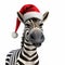 Photorealistic 3d Rendering Of Zebra Wearing Santa Hat