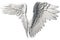 photorealistic angel wings on a transparent background