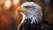 Photorealistic Bald Eagle Close-up With Soft Light Photography