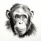 Photorealistic Black And White Chimpanzee Drawing