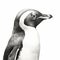 Photorealistic Black And White Penguin Drawing With Detailed Shading
