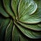 Photorealistic Closeup Of A Textured Succulent Leaf With Organic Contours