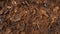 Photorealistic Composition Of Eroded Interiors: A Brown Patch Of Mulch In A Garden