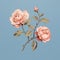 Photorealistic Composition: Three Roses On Blue Background