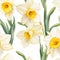 Photorealistic Daffodil Pattern On White Background