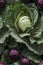 Photorealistic Detailed Seamless Pattern of Cabbage