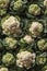 Photorealistic Detailed Seamless Pattern of Cauliflower
