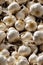 Photorealistic Detailed Seamless Pattern of Garlic