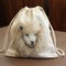 Photorealistic Fleece Bag With Sheep On Wooden Table
