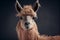 A photorealistic generative ai illustration of a majestic llama, beautifully rendered with intricate details, standing