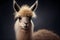 A photorealistic generative ai illustration of a majestic llama, beautifully rendered with intricate details, standing