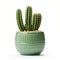 Photorealistic Green Cactus In Modern Ceramic Vase - High-quality Stock Photo