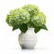 Photorealistic Hydrangea In Modern Ceramic Vase - Stock Photo Quality