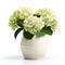 Photorealistic Hydrangea In Modern Ceramic Vase - Stock Photo Quality