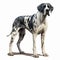 Photorealistic Illustration Of Dalmatian Dog With Large Spots