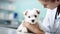 Photorealistic illustration, hand drawn, stockphoto, copy space, Veterinary examining a puppy. Healthcare illustration