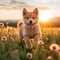 A photorealistic image of a Finnish Spitz puppy running through a field of wildflowers in the golden hour by AI generated