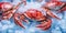 Photorealistic image of fresh crab on ice.