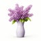 Photorealistic Lilac Flowers In Modern Ceramic Vase - High Resolution Stock Photo