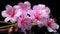 Photorealistic Macro Of Pink Flowers With Luminous Reflections