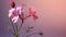 Photorealistic Macro Of Pink Geranium Flowers On Matte Background