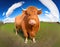 Photorealistic Multi-Perspective Panoramic Shot of a Ginger-Colored Scottish Highlander Cow with Long Fur, Made with Generative AI