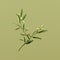 Photorealistic Olive Branch Vector On Light Green Background