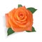 Photorealistic orange rose