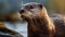 Photorealistic Otter: Detailed Facial Features In Soft Light