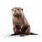 Photorealistic Otter Sitting On White Background - Detailed Character Design