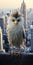 Photorealistic Owl Standing On New York City Skyline