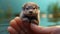 Photorealistic Painting Of Otter Sitting On Finger - Epic Concept Art